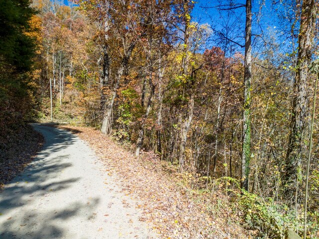 000 Vance Gap Rd, Asheville, NC 28804 - photo 13
