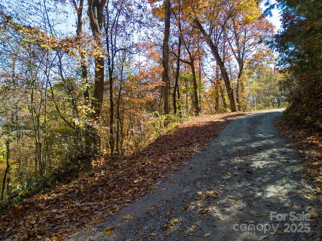 000 Vance Gap Rd, Asheville, NC 28804 - photo 14