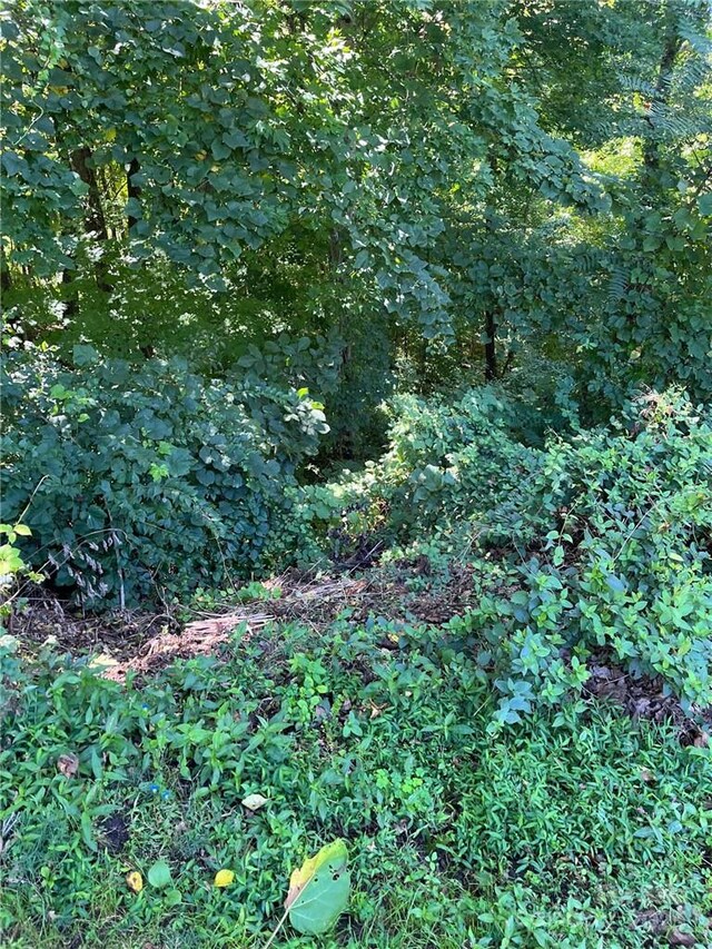 000 Vance Gap Rd, Asheville, NC 28804 - photo 15