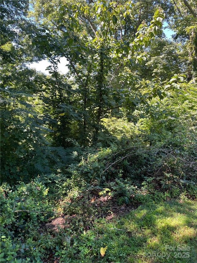 000 Vance Gap Rd, Asheville, NC 28804 - photo 16