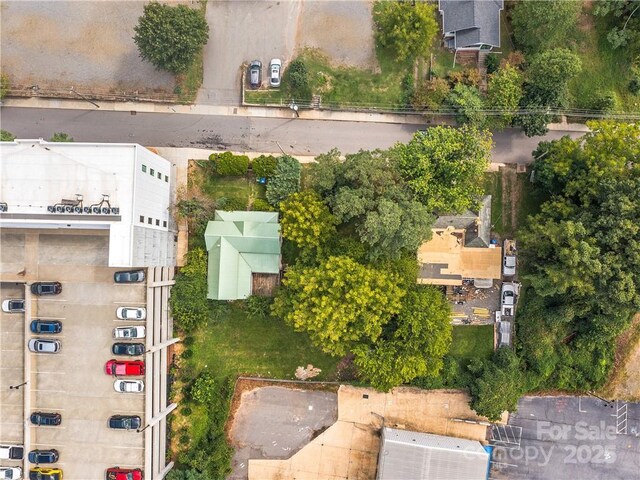 bird's eye view