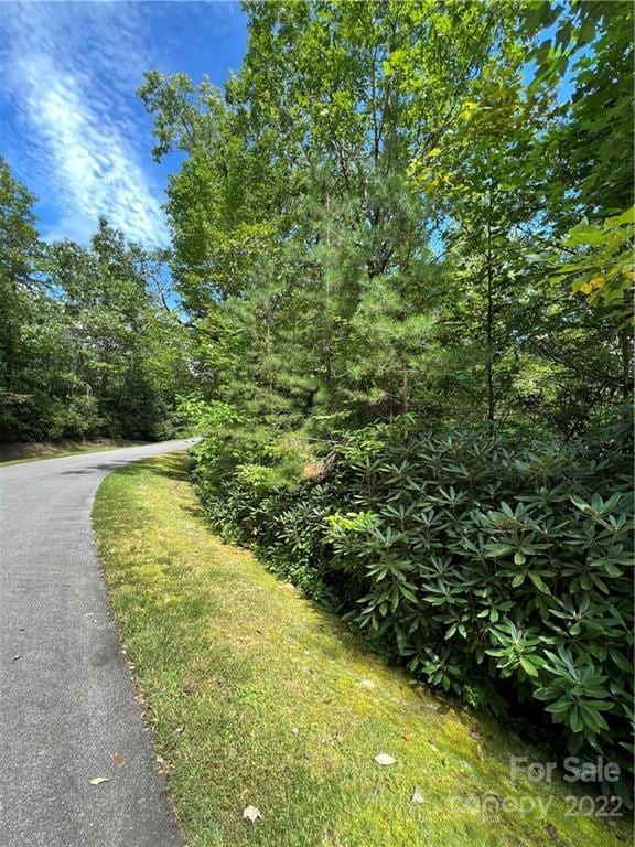 Listing photo 3 for M93 Hawks Crst, Brevard NC 28712