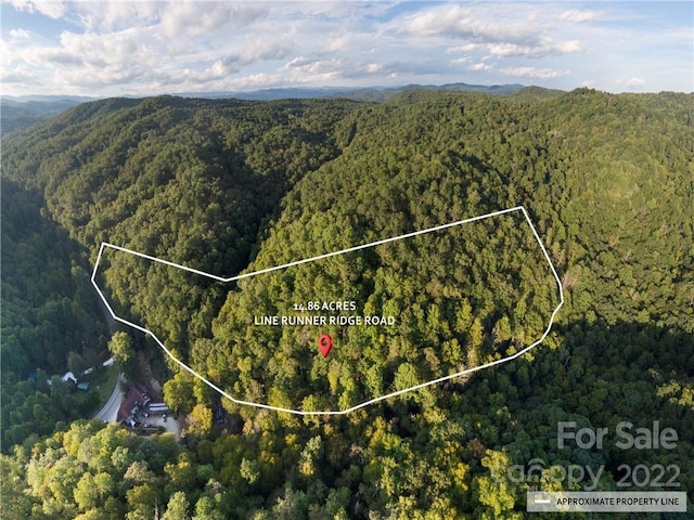 00 Line Runner Ridge Rd, Rosman NC, 28772 land for sale