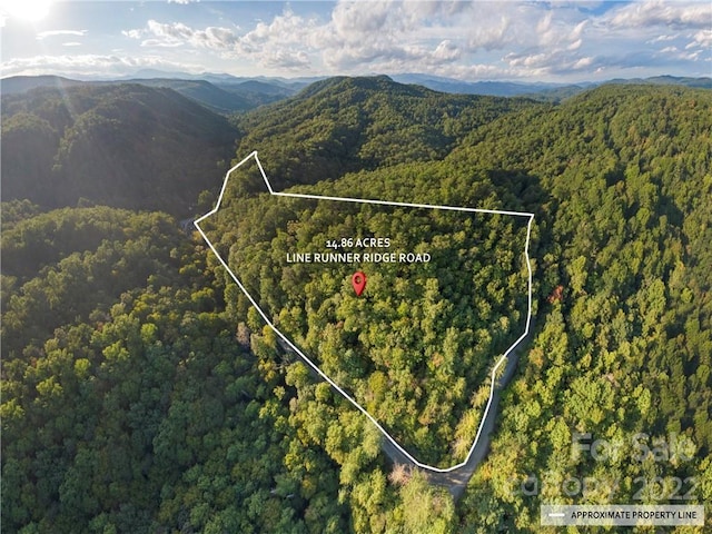 Listing photo 3 for 00 Line Runner Ridge Rd, Rosman NC 28772