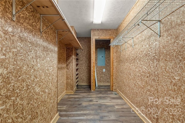 spacious closet featuring dark wood-type flooring