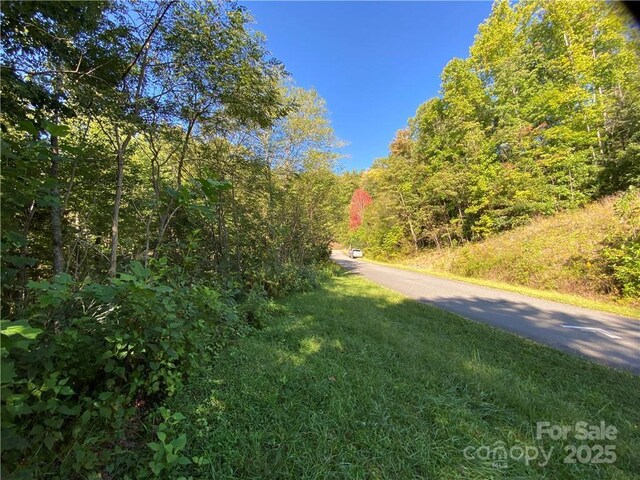 46 Holmstead Dr Unit 46, Lake Lure, NC 28746 - photo 1