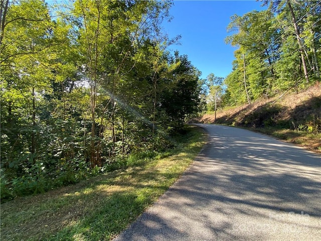 46 Holmstead Dr Unit 46, Lake Lure, NC 28746 - photo 2