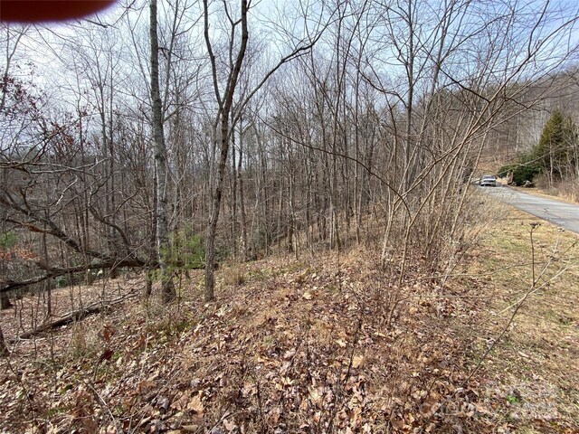 46 Holmstead Dr Unit 46, Lake Lure, NC 28746 - photo 4