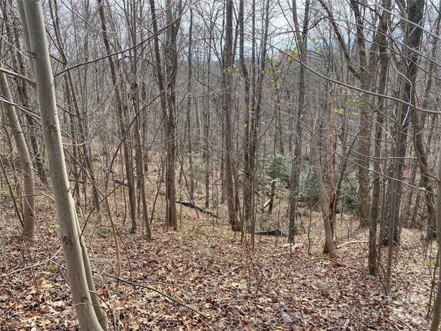 46 Holmstead Dr Unit 46, Lake Lure, NC 28746 - photo 5