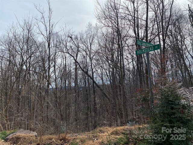 46 Holmstead Dr Unit 46, Lake Lure, NC 28746 - photo 7