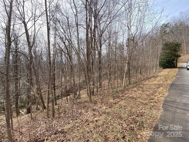 46 Holmstead Dr Unit 46, Lake Lure, NC 28746 - photo 8