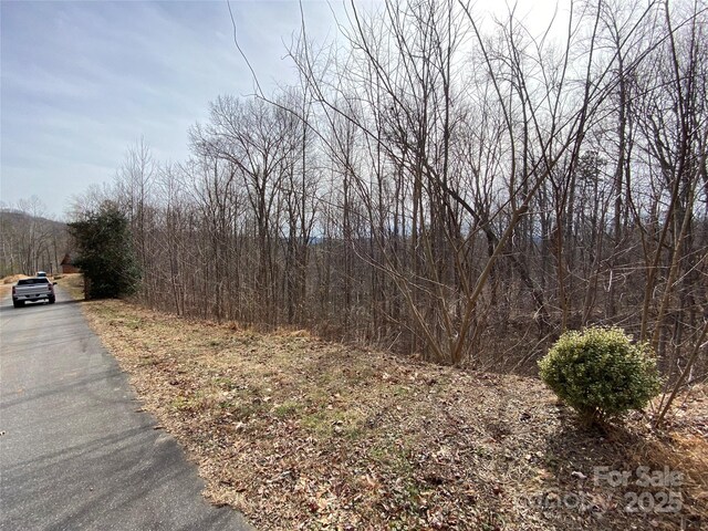 46 Holmstead Dr Unit 46, Lake Lure, NC 28746 - photo 10