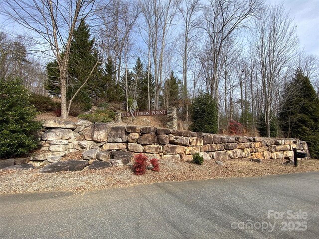 46 Holmstead Dr Unit 46, Lake Lure, NC 28746 - photo 11
