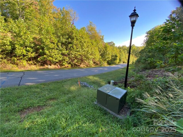 46 Holmstead Dr Unit 46, Lake Lure, NC 28746 - photo 12