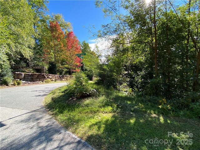 46 Holmstead Dr Unit 46, Lake Lure, NC 28746 - photo 13