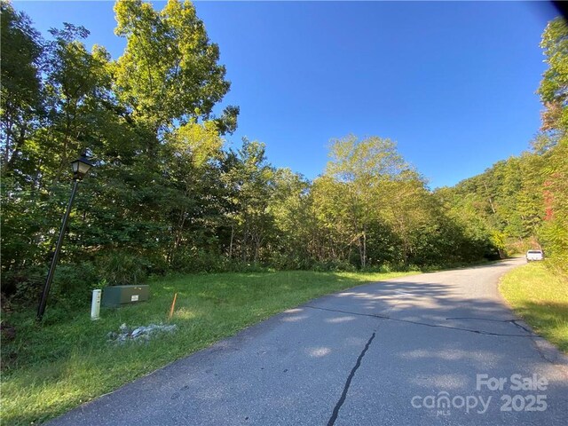 46 Holmstead Dr Unit 46, Lake Lure, NC 28746 - photo 14