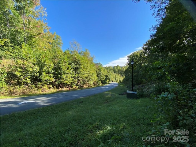 46 Holmstead Dr Unit 46, Lake Lure, NC 28746 - photo 15