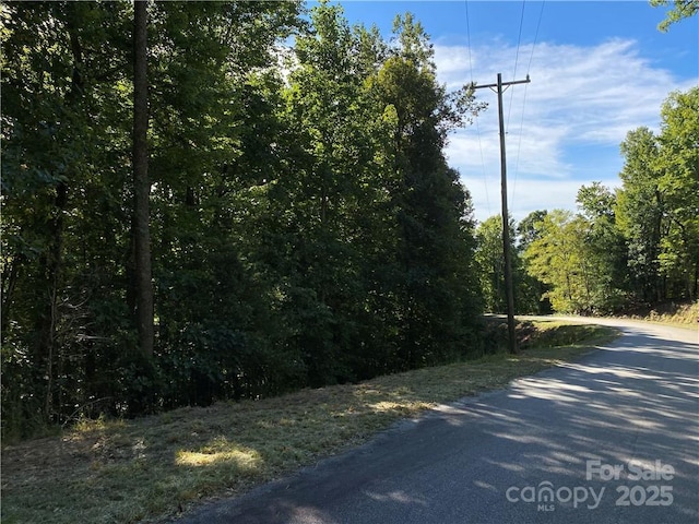 46 Holmstead Dr Unit 46, Lake Lure, NC 28746 - photo 16