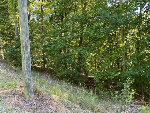 46 Holmstead Dr Unit 46, Lake Lure, NC 28746 - photo 17