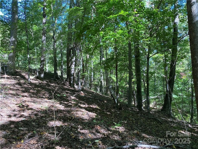 46 Holmstead Dr Unit 46, Lake Lure, NC 28746 - photo 18