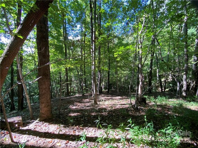 46 Holmstead Dr Unit 46, Lake Lure, NC 28746 - photo 21