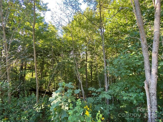 46 Holmstead Dr Unit 46, Lake Lure, NC 28746 - photo 25