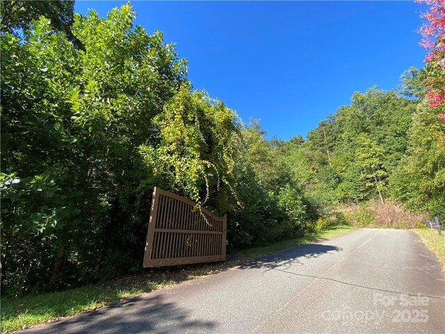 46 Holmstead Dr Unit 46, Lake Lure, NC 28746 - photo 26