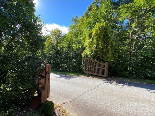 46 Holmstead Dr Unit 46, Lake Lure, NC 28746 - photo 27