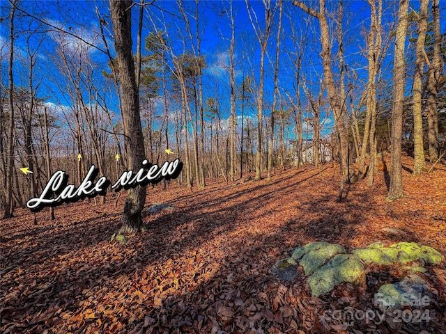 268 Sirocco Dr Unit 43, Denton, NC 27239 - photo 9