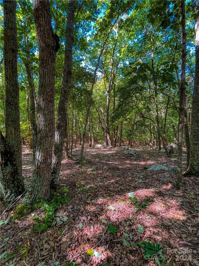 268 Sirocco Dr Unit 43, Denton, NC 27239 - photo 11