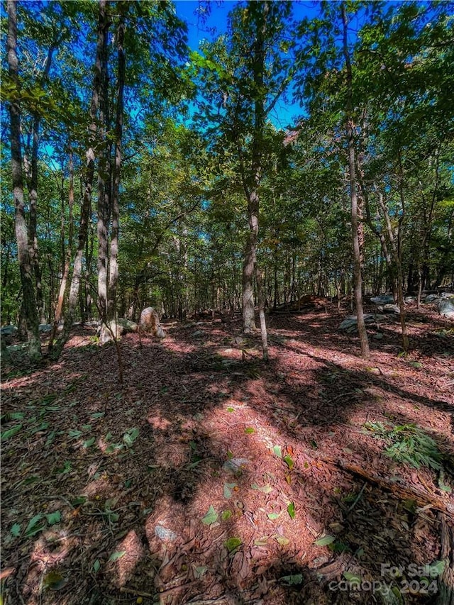 268 Sirocco Dr Unit 43, Denton, NC 27239 - photo 12