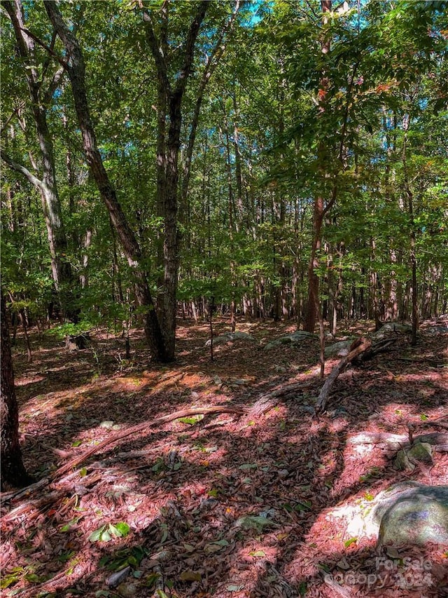 268 Sirocco Dr Unit 43, Denton, NC 27239 - photo 16