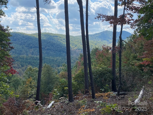 61 Scenic Vista Dr Unit 238, Nebo, NC 28761 - photo 1
