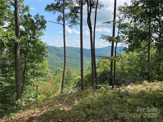 61 Scenic Vista Dr Unit 238, Nebo, NC 28761 - photo 2