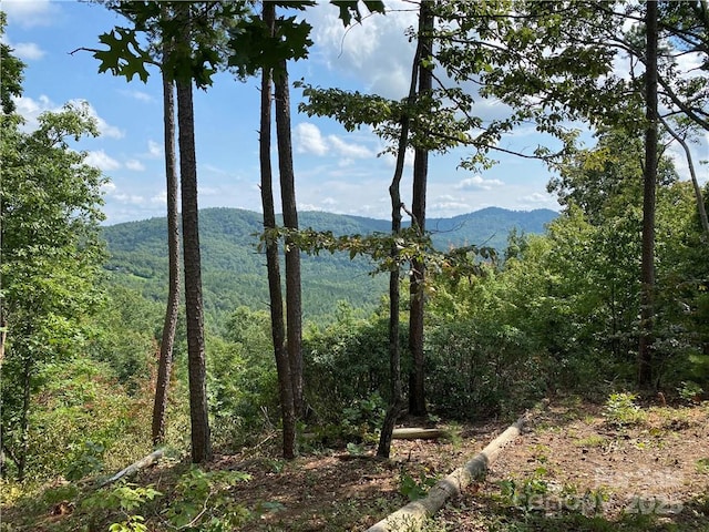 61 Scenic Vista Dr Unit 238, Nebo, NC 28761 - photo 3