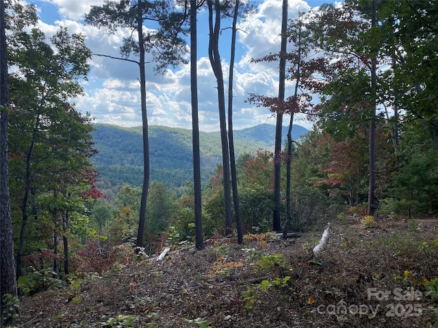 61 Scenic Vista Dr Unit 238, Nebo, NC 28761 - photo 5