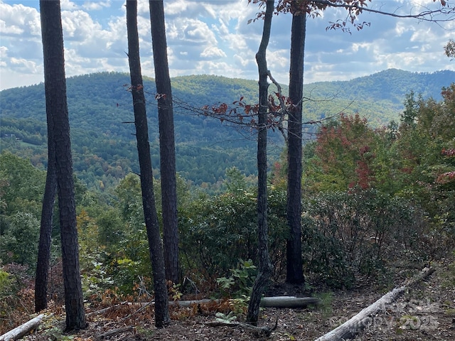 61 Scenic Vista Dr Unit 238, Nebo, NC 28761 - photo 6