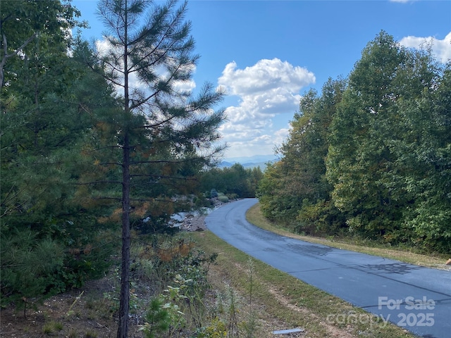 61 Scenic Vista Dr Unit 238, Nebo, NC 28761 - photo 8