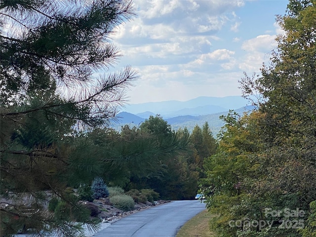 61 Scenic Vista Dr Unit 238, Nebo, NC 28761 - photo 9