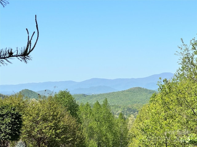 61 Scenic Vista Dr Unit 238, Nebo, NC 28761 - photo 10