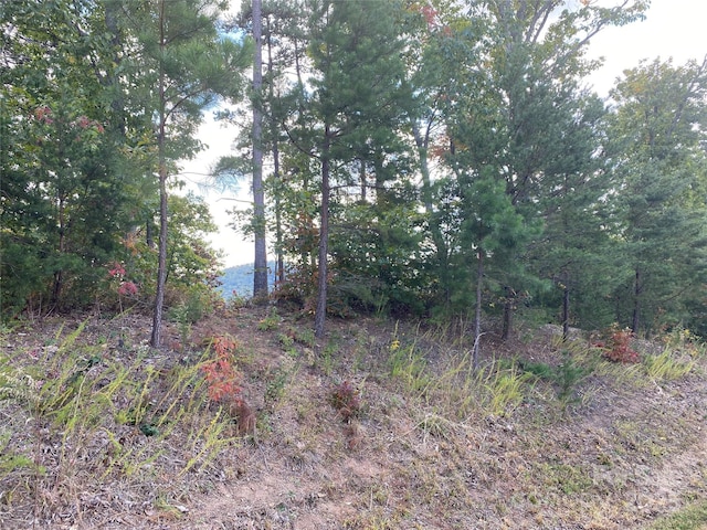 61 Scenic Vista Dr Unit 238, Nebo, NC 28761 - photo 12
