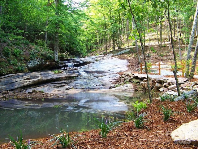 61 Scenic Vista Dr Unit 238, Nebo, NC 28761 - photo 20