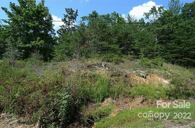 Listing photo 2 for LOT32G Sequoyah Cir Unit 32G, Marion NC 28752