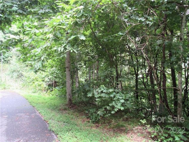 Listing photo 3 for LOT23 Village Ln Unit 23, Waynesville NC 28786