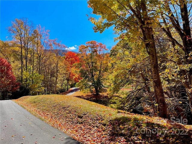 0 Blair Athel Pt Unit C4, Waynesville NC, 28786 land for sale