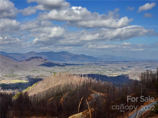 150ACRES Moondance Trl, Black Mountain NC, 28711 land for sale