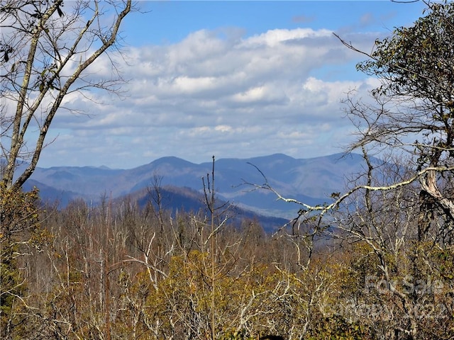 Listing photo 3 for 150ACRES Moondance Trl, Black Mountain NC 28711