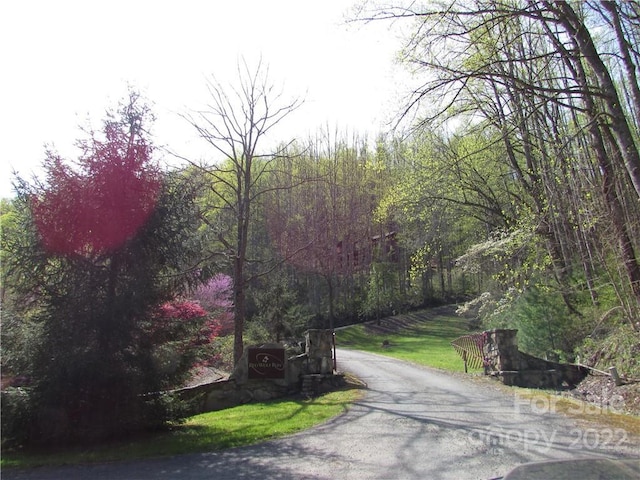 E-18 Red Wolf Run, Mars Hill NC, 28754 land for sale