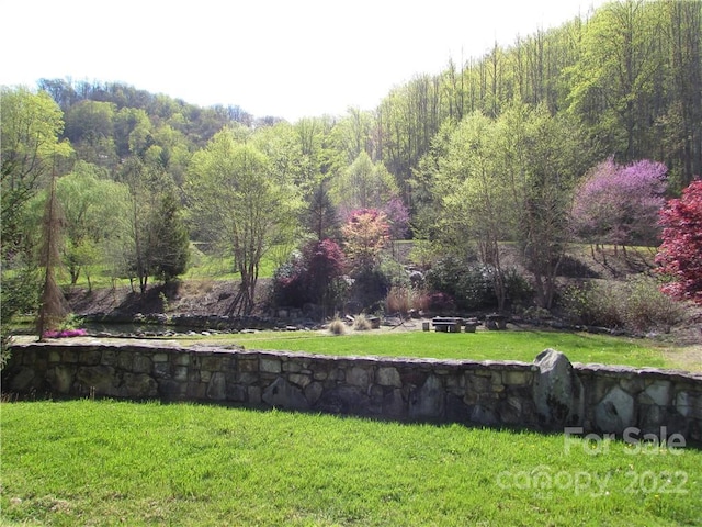 Listing photo 2 for E-18 Red Wolf Run, Mars Hill NC 28754