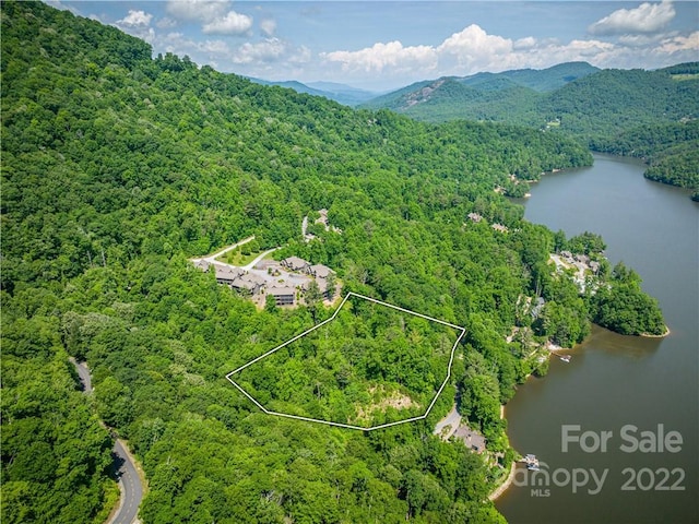 LT454 Southshore Dr, Tuckasegee NC, 28783 land for sale